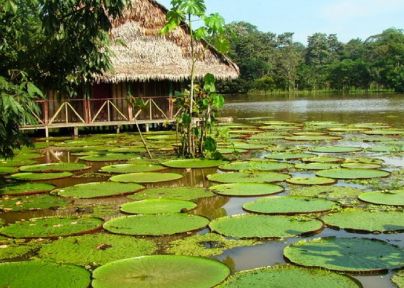 Seccional Amazonas, Guaviare, Vichada y Vaupés